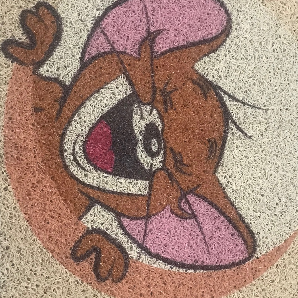 Tom & Jerry bathroom/door mat